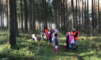 BÜT Wald 5