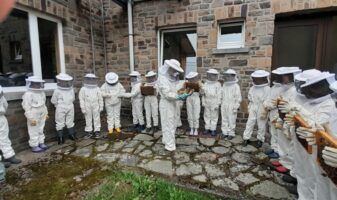 els-bienen 1 els-bienen 1