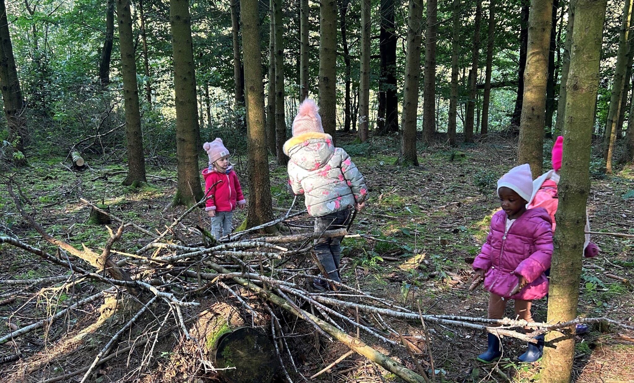 wey-wald 1