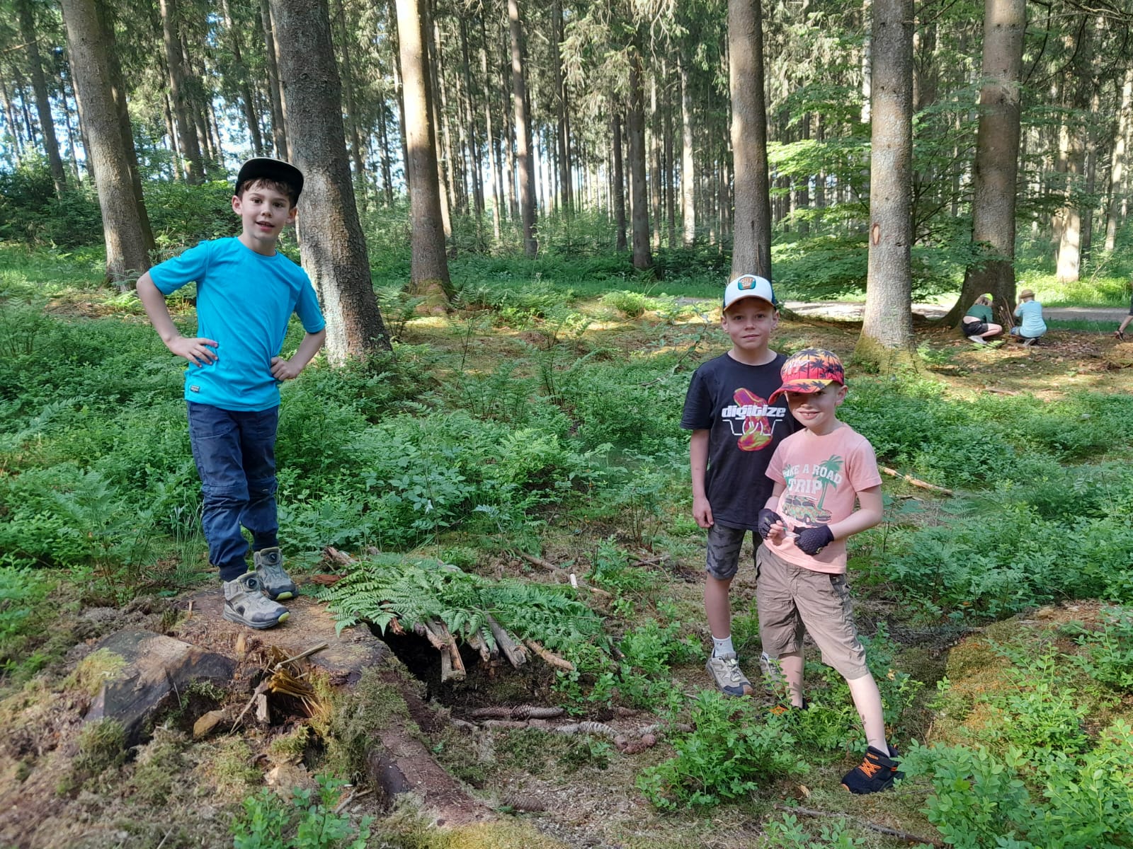 BUT Waldtag 1