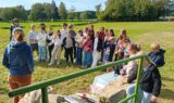 wey-windpark 1