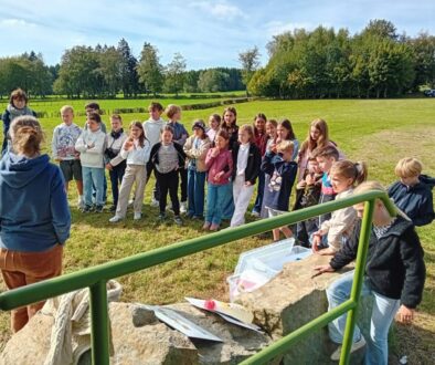 wey-windpark 1